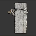 Close Up View Of Cicada Exuvia Hanging On Weathered Wooden Planks