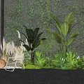 Lush Greenery With Ivy Covered Wall Leafy Plants Ferns And Pampas Grass On Gravel Ground