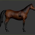Brown Horse Standing With Dark Mane Against Gray Gradient Background In Side View 3d model