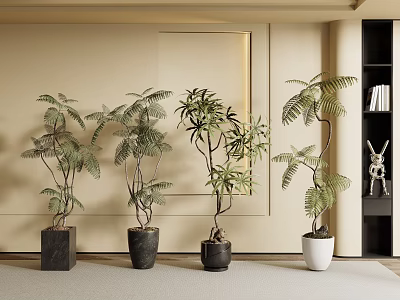 Indoor Decorative Bonsai Plants In Modern Planters For Living Room Interior Design 3d model