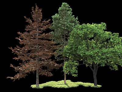 Three Various Colored Arbor Trees With Lush Green Grass 3d model