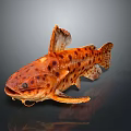 Orange Spotted Fish with Large Head and Unique Fins on Dark Background with Reflective Surface