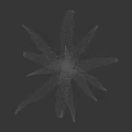 Corn Plant With Lush Green Leaves And Height Measurement Scale For Growth Monitoring