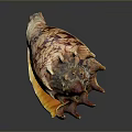Detailed Animal Organ Structure With Fine Hair And Colorful Surface Patterns