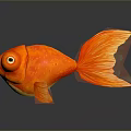 Adorable Orange Goldfish With Big Eyes Large Tail And Reflection On Dark Background