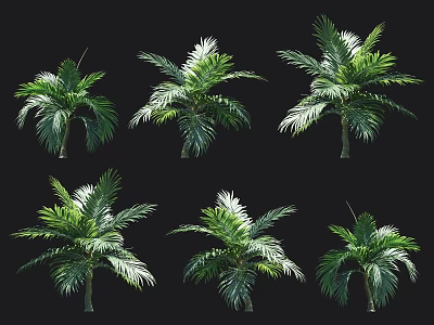 Lush Green Palm Plants With Vibrant Leaves Displayed In Various Poses On Black Background 3d model
