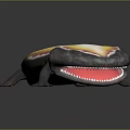 Vibrant Aquatic Salamander Featuring Long Body Smooth Skin And Distinctive Yellow Orange Black Color Pattern