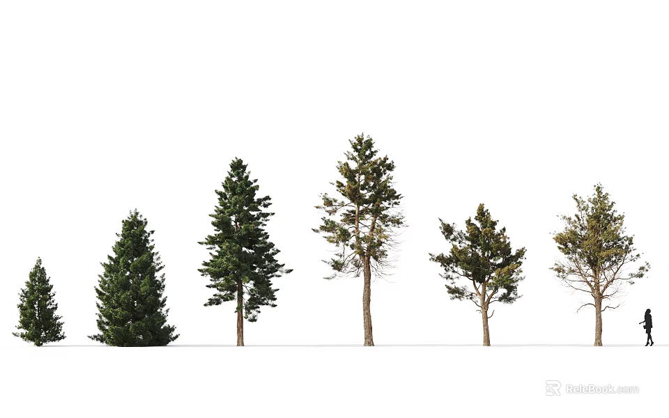 Row of Various Forms Arbor Trees with Different Crown Shapes Densities and Upright Trunks 3d model 