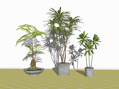 Bonsai Potted Plants With Diverse Green Leaves In Stylish Gray Decorative Pots 3d model