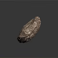 Fossilized Crinoid Specimen With Detailed Segmented Stem And Feathery Arms Embedded In Sedimentary Rock Matrix
