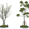 Tree Support Tree Support Community Tree Realistic Trees Spring and Summer Trees Transparent Trees Lightweight Modelling Trees Summer Trees 3d model