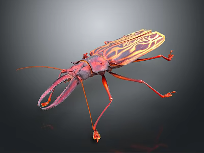 Colorful Beetle With Red And Yellow Stripes And Large Mandibles On Black Background 3d model
