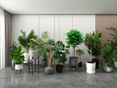 potted plants flowers green plants model