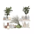 Dishwashing Liquid Bottles Skincare Items Natural Candles and Potted Plants on Shelves