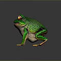 Green Spotted Frog With Yellow Eyes And Toes On Dark Background With Reflection