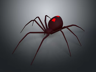 Dark Brown Spider With Red Markings On Abdomen And Long Legs 3d model