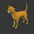 Yellow Chihuahua Dog Standing On Black Shiny Surface With Gray Background