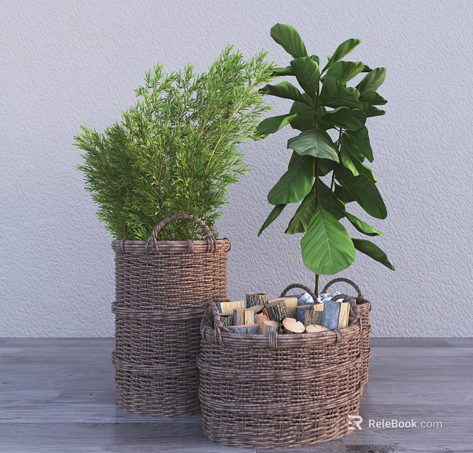 Woven Baskets with Bonsai Potted Plants Lush Green Foliage and Large Leaves Indoor Decor 3d model 