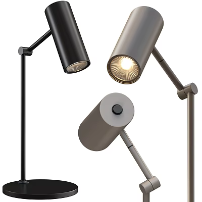 Modern Adjustable Desk Lamps With Flexible Arms Black Gray Finishes for Home Office 3d model