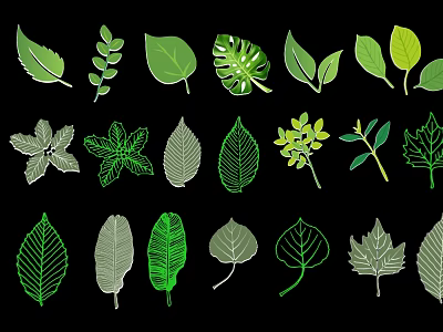 Various Green And Gray Leaf Silhouettes On Black Background Design Elements 3d model