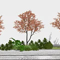 Ornamental Trees With Vibrant Red Leaves Surrounded By Green Shrubs And Grass