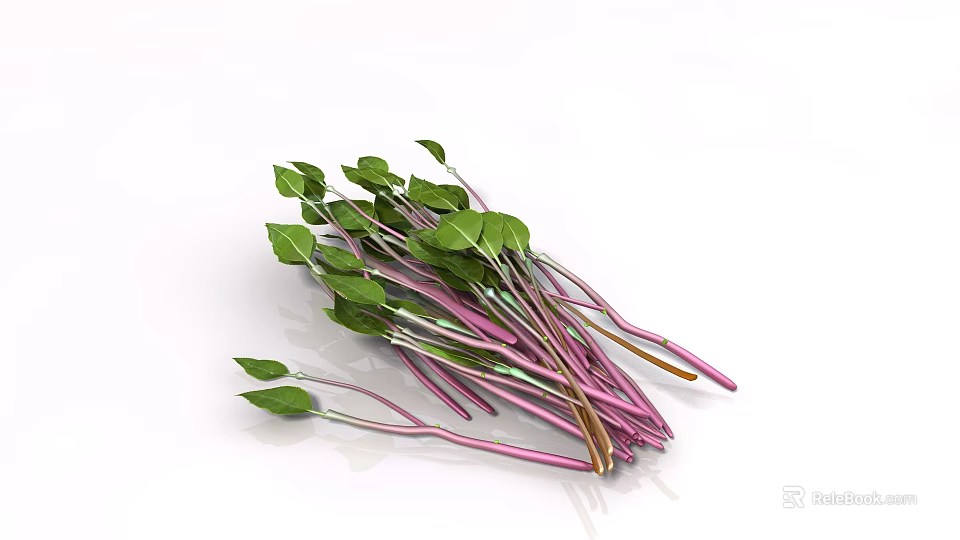 Bunch of Fresh Plants With Green Leaves And Purple Stems On White Background 3d model 