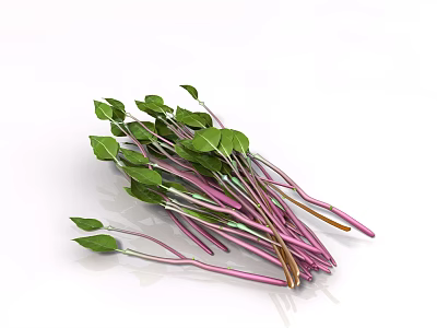 Bunch of Fresh Plants With Green Leaves And Purple Stems On White Background 3d model