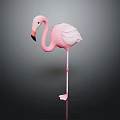 Elegant Pink Flamingo Standing On Dark Background With Soft Feathers And Reflection