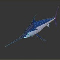 Northern bluefin tuna albacore tuna yellowfin tuna blackfin tuna 3d model