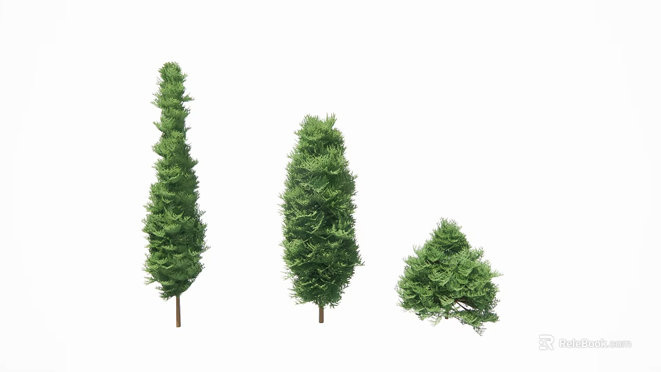 Evergreen Arborvitae Trees in Various Sizes with Lush Green Foliage and Brown Trunks 3d model 