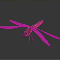 Yellow And Black Dragonfly With Transparent Wings On Dark Background 3d model