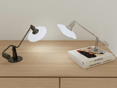 Modern Adjustable Arm Desk Lamps With White Shade On Wooden Desk And Books 3d model