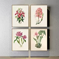Vintage Botanical Prints With Hand Drawn Floral Details Framed Wall Art Decor