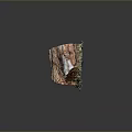 Natural Wood And Stone Stump Decorative Piece With Colorful Textured Sections