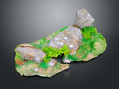 Scenic Natural Terrain with Rocks Green Moss Lush Vegetation and Grass 3d model