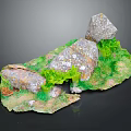 Scenic Natural Terrain with Rocks Green Moss Lush Vegetation and Grass