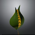 Delicious Fresh Corn With Partially Peeled Green Husk And Bright Yellow Kernels