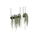 Green Plant Hanging Basket Floriculture Bonsai 3d model