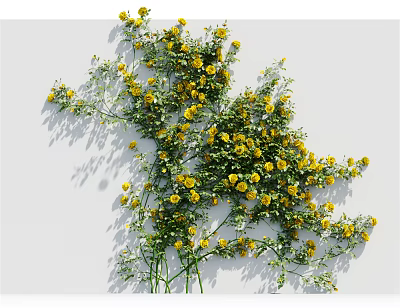 Lush Green Climbing Vine With Small Yellow Flowers For Garden Decoration 3d model