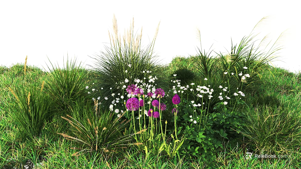 Colorful Garden Flowers and Tall Green Grasses with Purple Blooms White Petals 3d model 