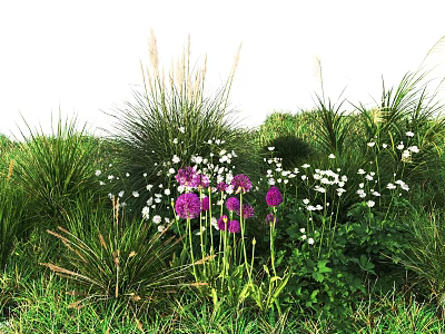 Colorful Garden Flowers and Tall Green Grasses with Purple Blooms White Petals 3d model