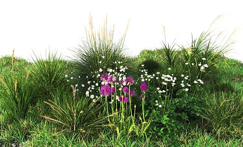 Modern Grass 3d model