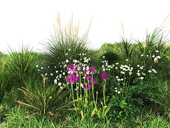 Modern Grass 3d model