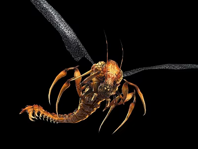 Flying Creature with Intricate Wing Structure Orange Brown Body Long Antennae and Segmented Legs 3d model