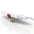 Eagle 3D Model With Red Head Spread Wings And Claws On White Background 3d model