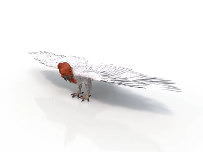 Realistic style white feather red head eagle bird monster human head bird monster goblin monster eagle bird spread wings white feather red head sharp claw overlooking posture 3d model