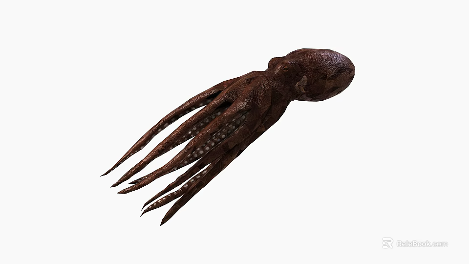 Brown Squid With Long Tentacles And Natural Texture In Aquatic Environment 3d model 