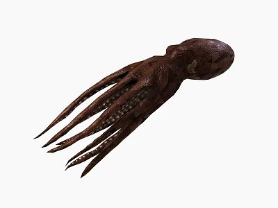 Brown Squid With Long Tentacles And Natural Texture In Aquatic Environment 3d model