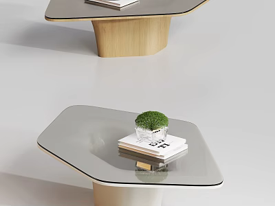 Modern Coffee Table With Glass Top Wooden Base And Small Potted Plant On Books 3d model