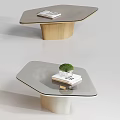 Modern Coffee Table With Glass Top Wooden Base And Small Potted Plant On Books